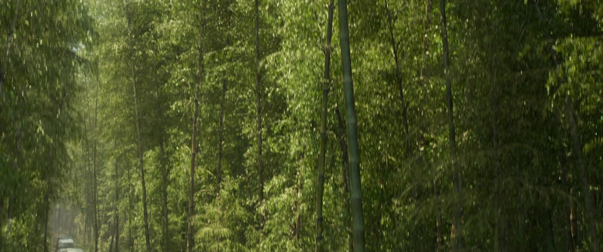 HOTN_0117.jpg