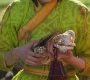 HOTN_2197.jpg