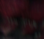 HOTN_2803.jpg