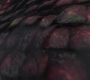HOTN_2804.jpg