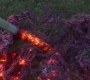 HOTN_2834.jpg