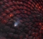 HOTN_2844.jpg