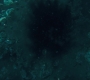 HOTN_2915.jpg