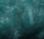 HOTN_2922.jpg