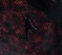 HOTN_2963.jpg