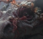 HOTN_2993.jpg