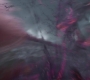 HOTN_2996.jpg