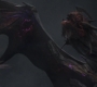 HOTN_3267.jpg