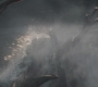 HOTN_3275.jpg
