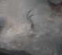 HOTN_3276.jpg