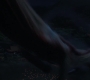 HOTN_3382.jpg