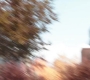 No_Way_Home_1612.jpg