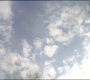 Filename=SPHC-00188.jpg
Filesize=77KiB
Dimensions=1920x808
Date added=Oct 12, 2021 SPHC-00188.jpg