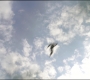 Filename=SPHC-00189.jpg
Filesize=77KiB
Dimensions=1920x808
Date added=Oct 12, 2021 SPHC-00189.jpg
