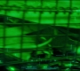 SPHC-01574.jpg