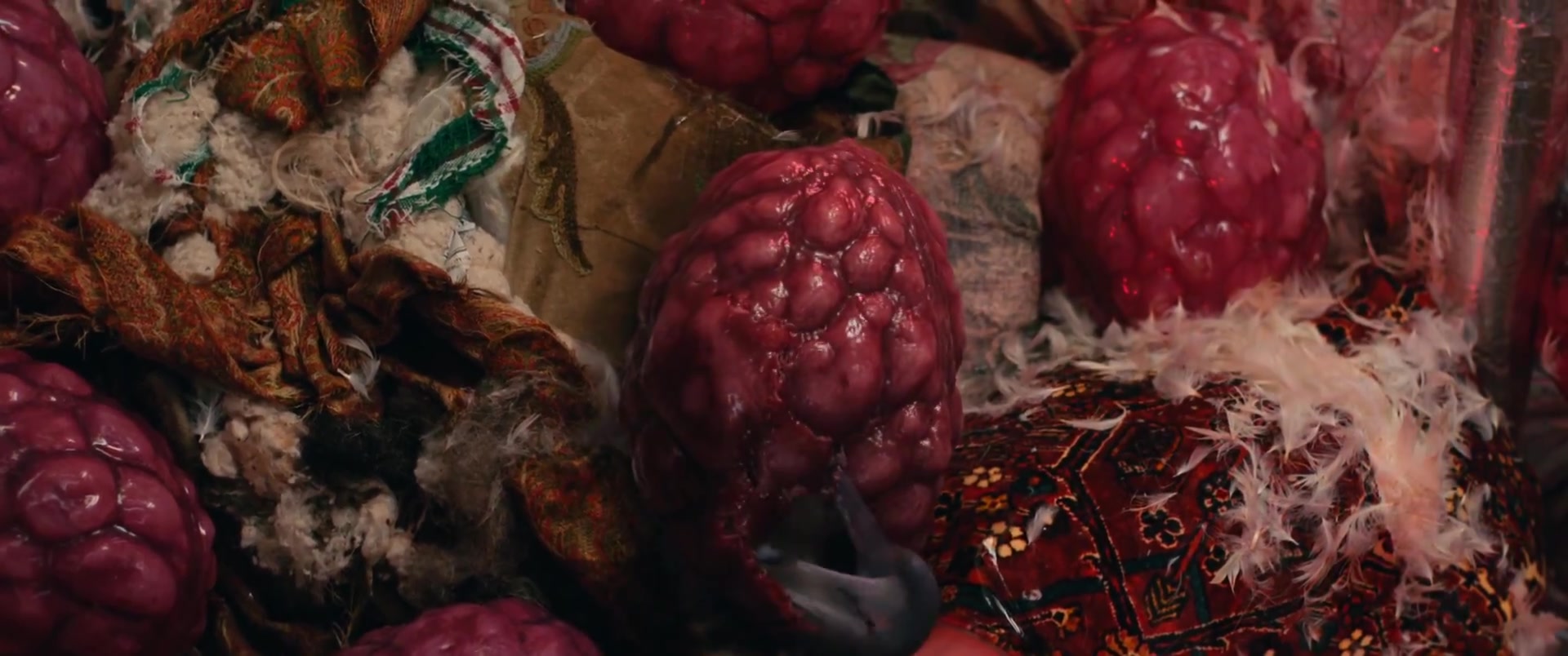 Marvels_3396.jpg
