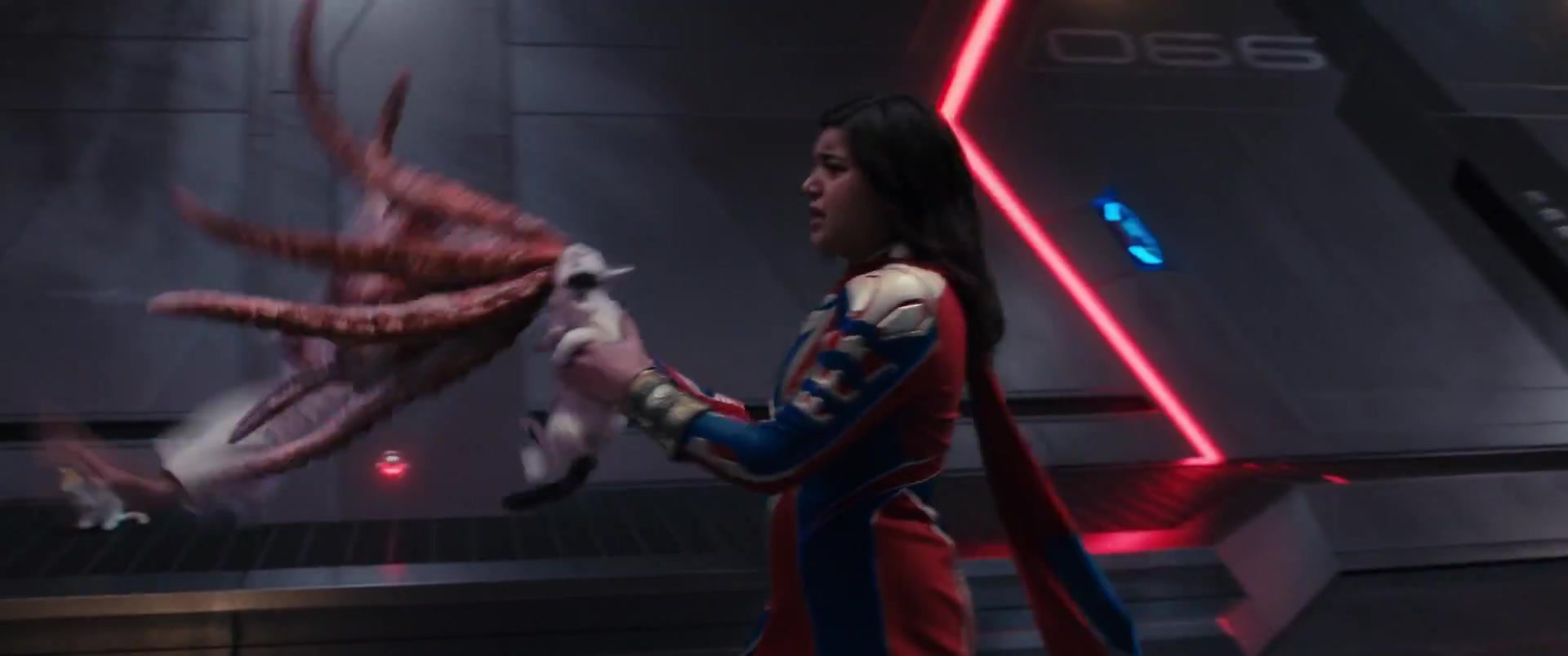 Marvels_3513.jpg