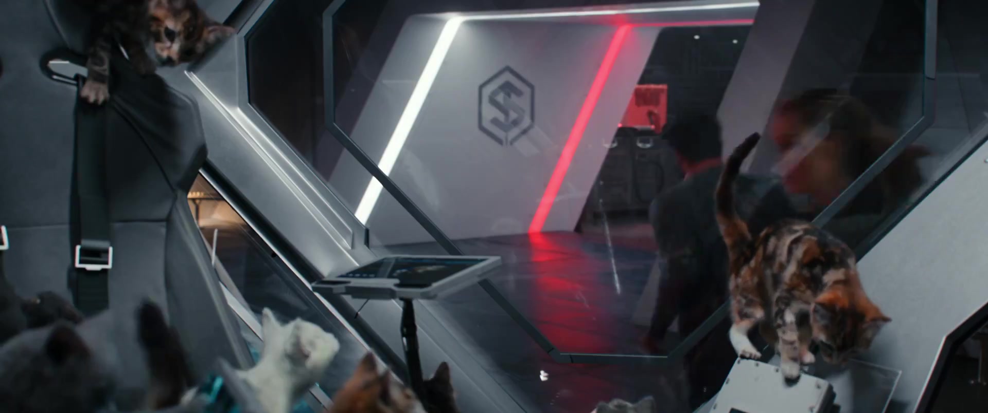 Marvels_3541.jpg