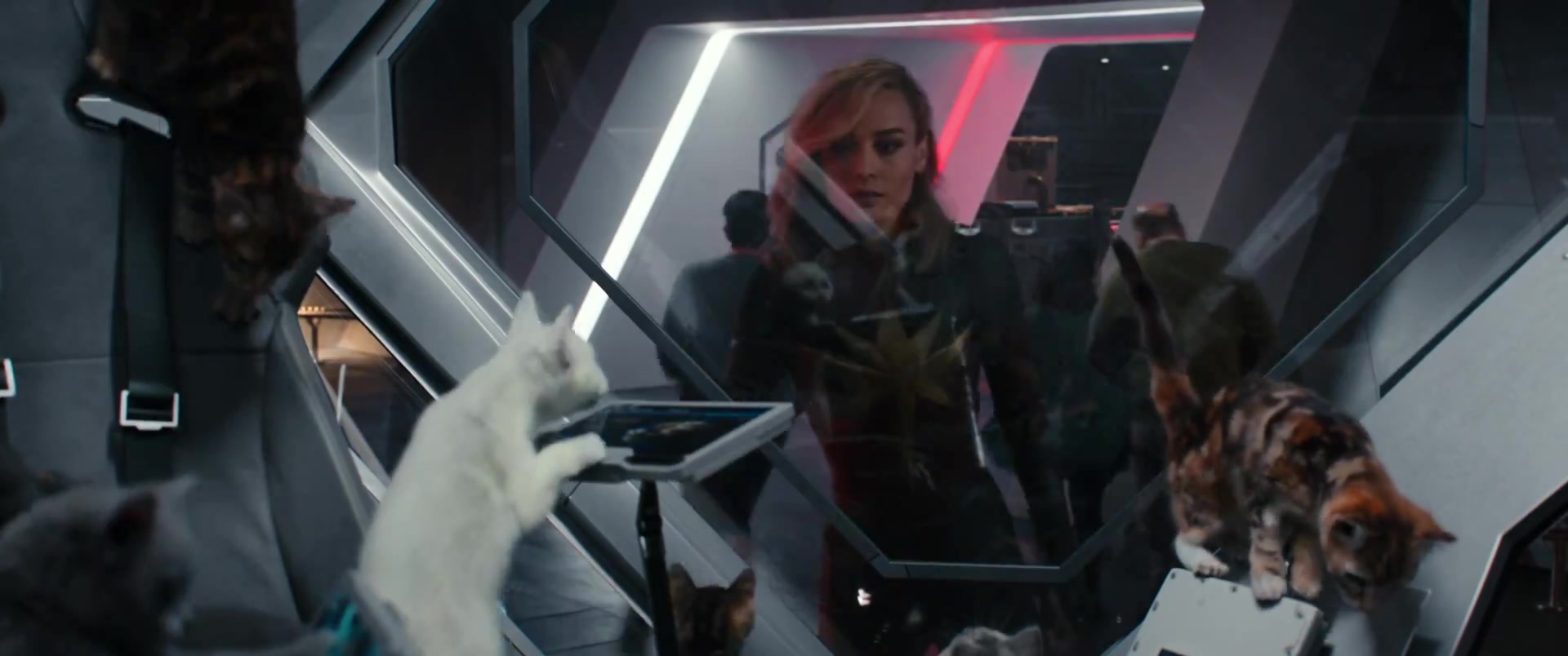 Marvels_3542.jpg