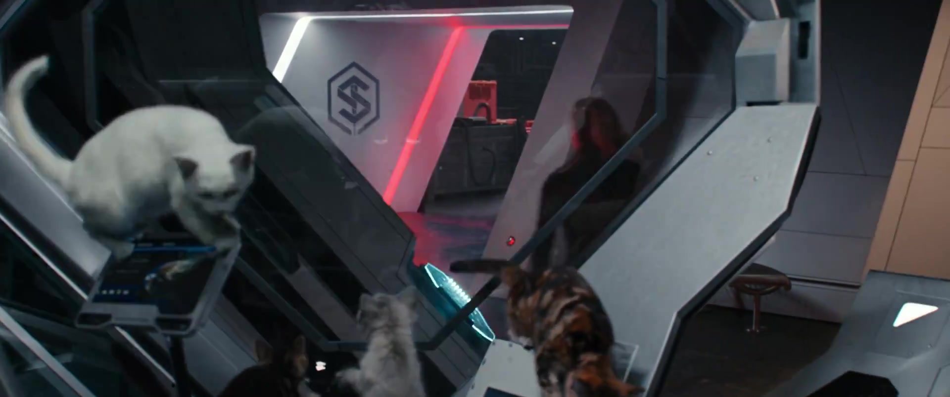 Marvels_3545.jpg