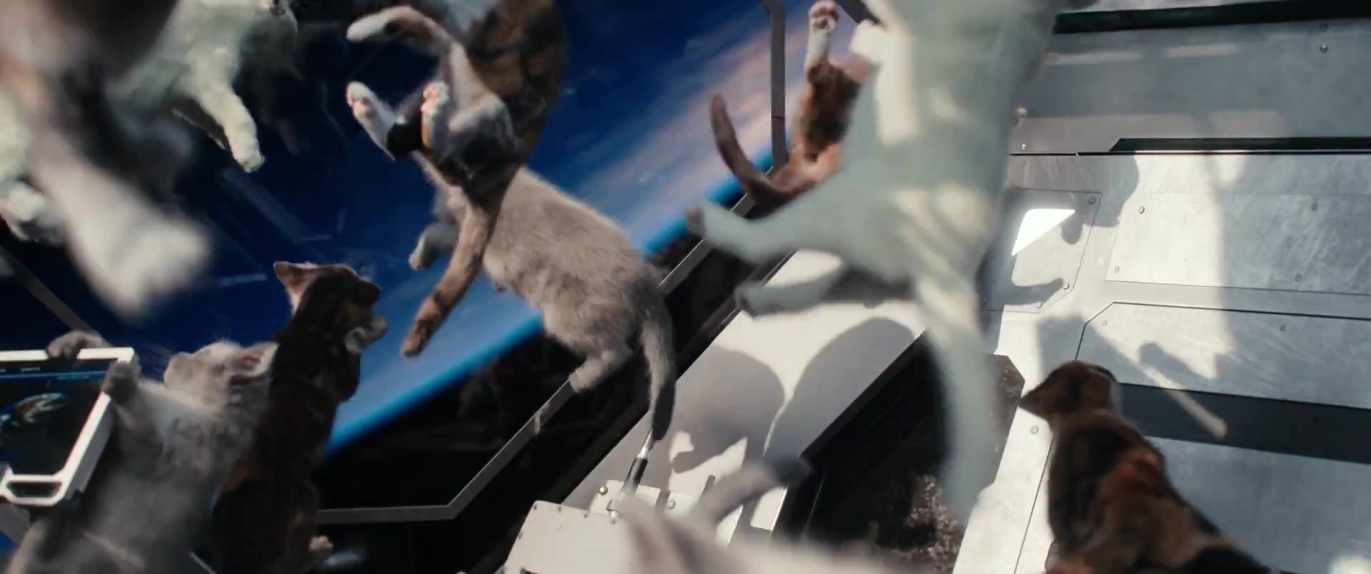 Marvels_3552.jpg