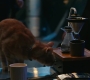 Marvels_0288.jpg