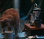 Marvels_0290.jpg