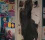 Marvels_0501.jpg