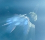 Marvels_0649.jpg
