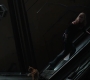 Marvels_0677.jpg
