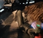 Marvels_0893.jpg