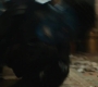 Marvels_0958.jpg