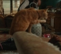 Marvels_1035.jpg