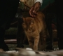 Marvels_1081.jpg