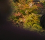 Marvels_1240.jpg
