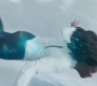 Marvels_1270.jpg