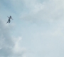 Marvels_1279.jpg