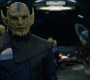 Marvels_1633.jpg