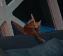 Marvels_2421.jpg