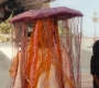 Marvels_2616.jpg