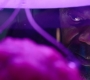 Marvels_2829.jpg