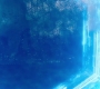 Marvels_2908.jpg