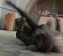 Marvels_2958.jpg