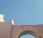 Marvels_2983.jpg
