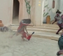 Marvels_3062.jpg