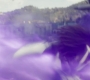Marvels_3107.jpg