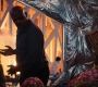 Marvels_3385.jpg