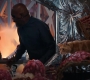 Marvels_3394.jpg