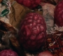 Marvels_3395.jpg
