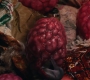 Marvels_3396.jpg